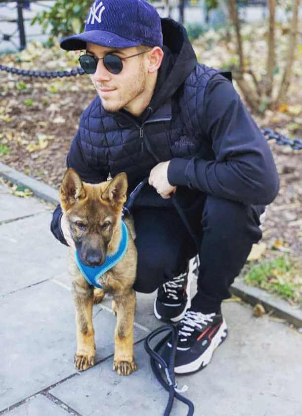 Nick Jonas with his Dog